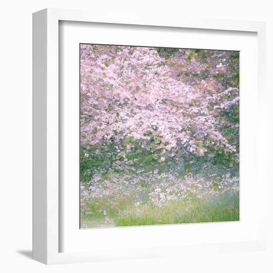 Floral Froth I-Doug Chinnery-Framed Premium Photographic Print