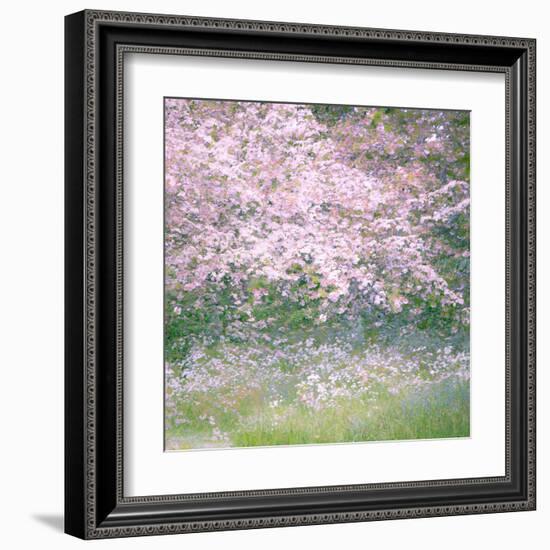 Floral Froth I-Doug Chinnery-Framed Premium Photographic Print