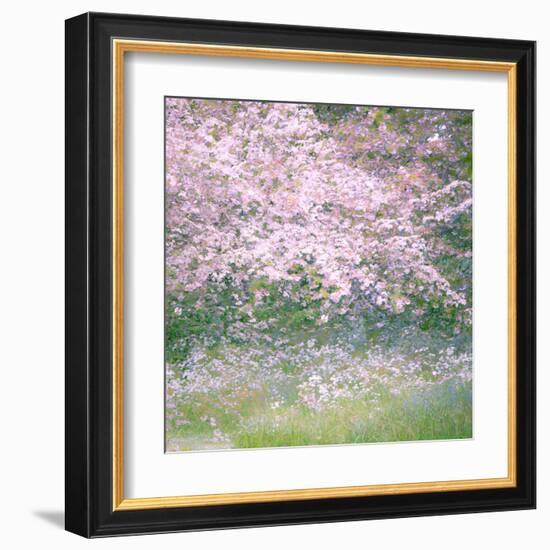 Floral Froth I-Doug Chinnery-Framed Premium Photographic Print