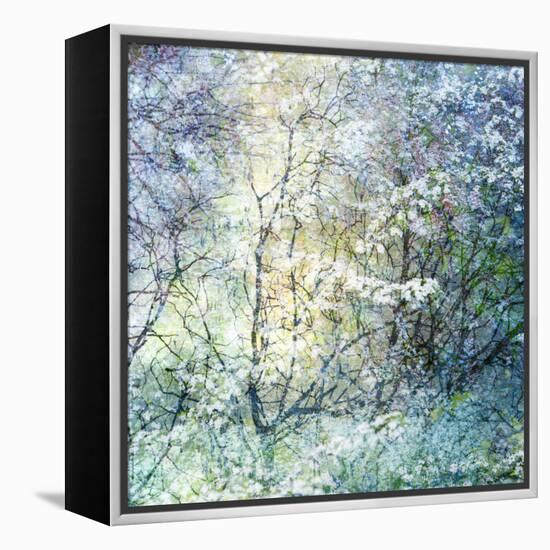 Floral Froth II-Doug Chinnery-Framed Premier Image Canvas