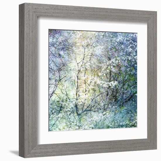 Floral Froth II-Doug Chinnery-Framed Premium Photographic Print