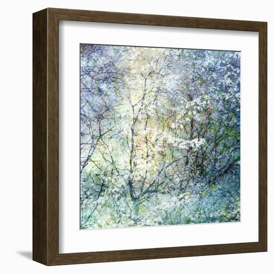 Floral Froth II-Doug Chinnery-Framed Premium Photographic Print