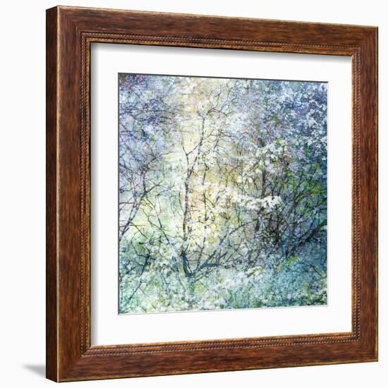 Floral Froth II-Doug Chinnery-Framed Premium Photographic Print