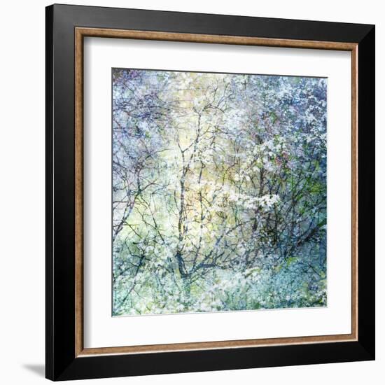 Floral Froth II-Doug Chinnery-Framed Premium Photographic Print