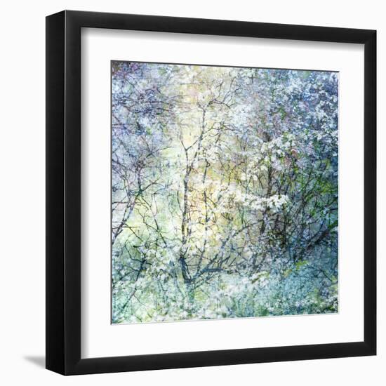 Floral Froth II-Doug Chinnery-Framed Premium Photographic Print