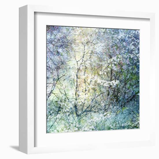 Floral Froth II-Doug Chinnery-Framed Premium Photographic Print