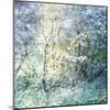 Floral Froth II-Doug Chinnery-Mounted Premium Photographic Print