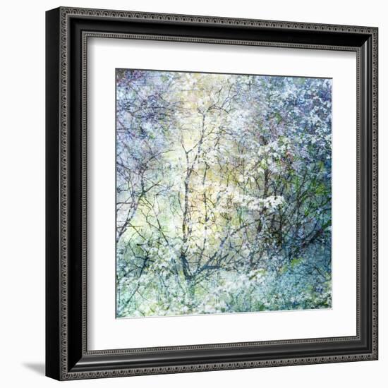 Floral Froth II-Doug Chinnery-Framed Premium Photographic Print