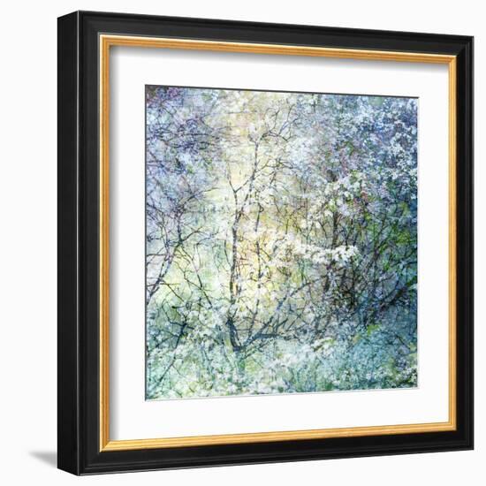 Floral Froth II-Doug Chinnery-Framed Premium Photographic Print