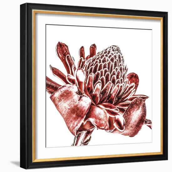 Floral Fusion - Portrait-Mike Toy-Framed Giclee Print