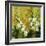 Floral Garden-Rikki Drotar-Framed Giclee Print