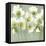 Floral Gathering I-Vanessa Austin-Framed Stretched Canvas