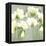 Floral Gathering II-Vanessa Austin-Framed Stretched Canvas