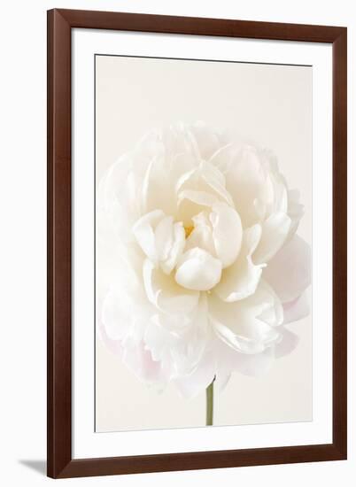 Floral Glissade-Irene Suchocki-Framed Giclee Print