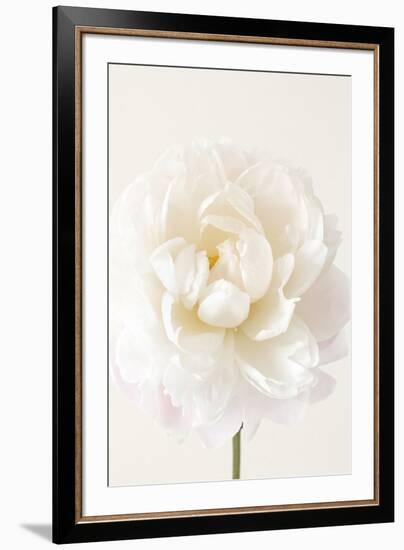 Floral Glissade-Irene Suchocki-Framed Giclee Print