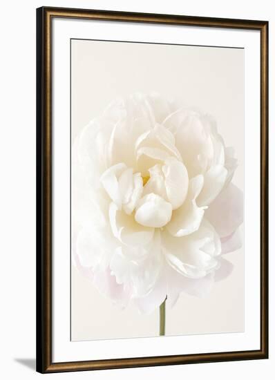 Floral Glissade-Irene Suchocki-Framed Giclee Print