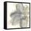 Floral Gray I-Chris Paschke-Framed Stretched Canvas