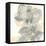 Floral Gray II-Chris Paschke-Framed Stretched Canvas