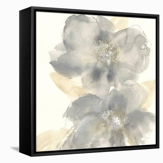 Floral Gray II-Chris Paschke-Framed Stretched Canvas