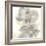 Floral Gray II-Chris Paschke-Framed Art Print