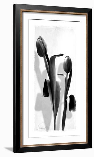 Floral Impressions II-Lucy Meadows-Framed Giclee Print