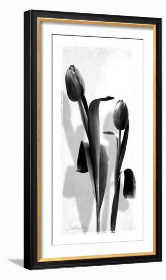 Floral Impressions II-Lucy Meadows-Framed Giclee Print