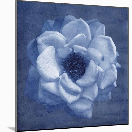 Floral Imprint III-Collezione Botanica-Mounted Giclee Print