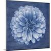 Floral Imprint IV-Collezione Botanica-Mounted Giclee Print