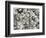 Floral in Black and White-Neela Pushparaj-Framed Photographic Print