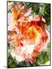 Floral in Bloom III-Chamira Young-Mounted Art Print