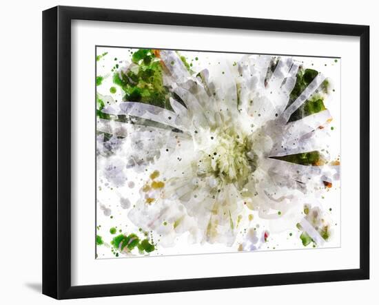 Floral in Bloom XXIII-Chamira Young-Framed Art Print