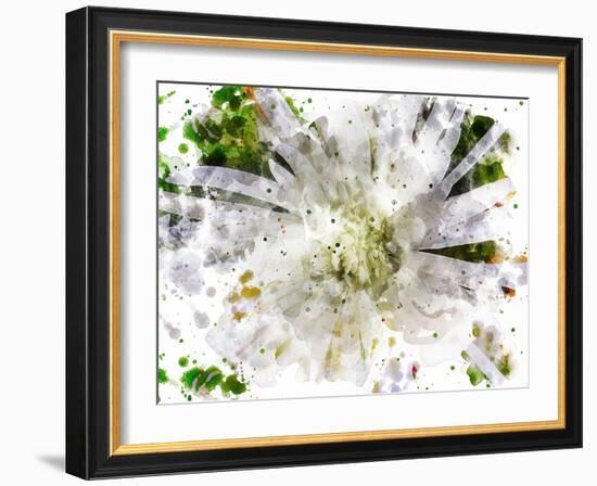 Floral in Bloom XXIII-Chamira Young-Framed Art Print