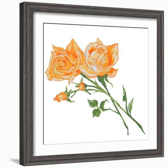 Floral IV-Linda Baliko-Framed Art Print