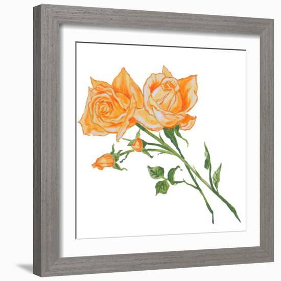 Floral IV-Linda Baliko-Framed Art Print