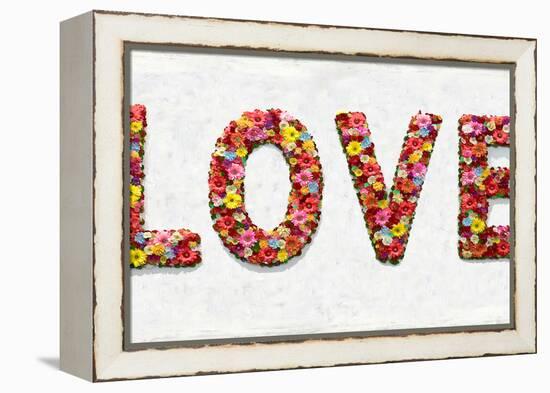 Floral Love-Jamie MacDowell-Framed Stretched Canvas