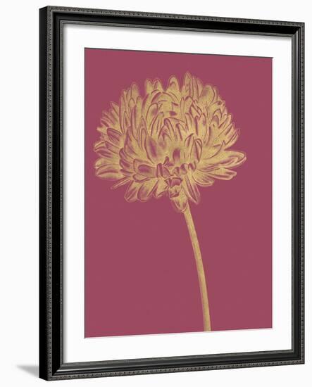 Floral Luxe - Bud-Lucy Francis-Framed Art Print