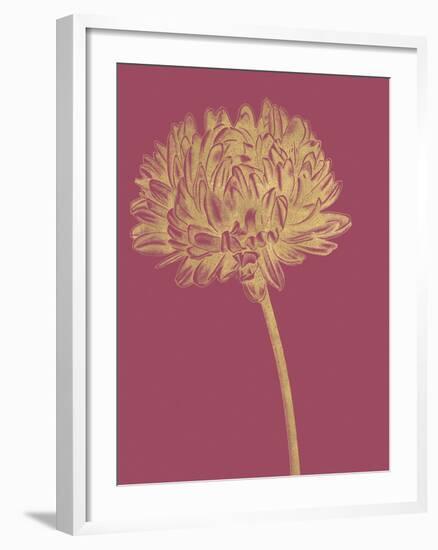 Floral Luxe - Bud-Lucy Francis-Framed Art Print