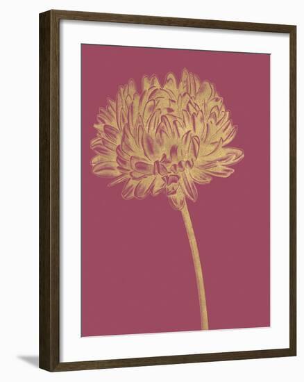 Floral Luxe - Bud-Lucy Francis-Framed Art Print