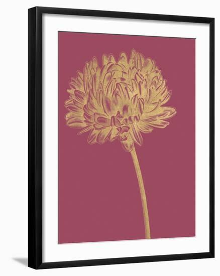 Floral Luxe - Bud-Lucy Francis-Framed Art Print