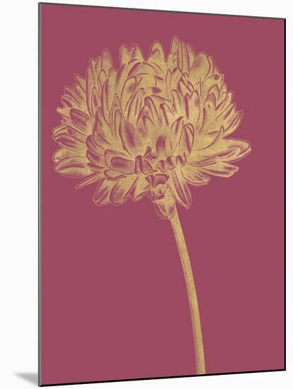 Floral Luxe - Bud-Lucy Francis-Mounted Art Print