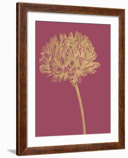 Floral Luxe - Bud-Lucy Francis-Framed Art Print