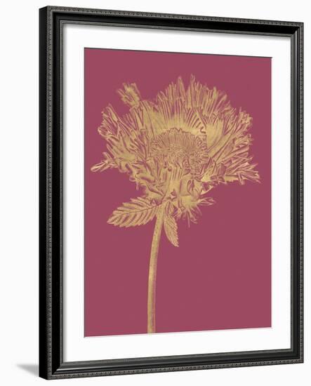 Floral Luxe - Grow-Lucy Francis-Framed Art Print