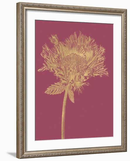 Floral Luxe - Grow-Lucy Francis-Framed Art Print