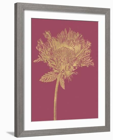 Floral Luxe - Grow-Lucy Francis-Framed Art Print