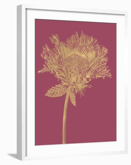 Floral Luxe - Grow-Lucy Francis-Framed Art Print