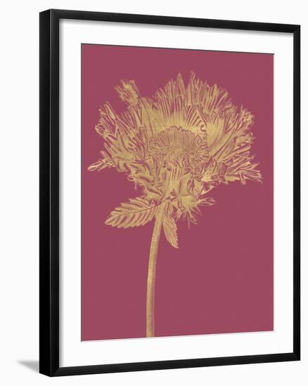 Floral Luxe - Grow-Lucy Francis-Framed Art Print