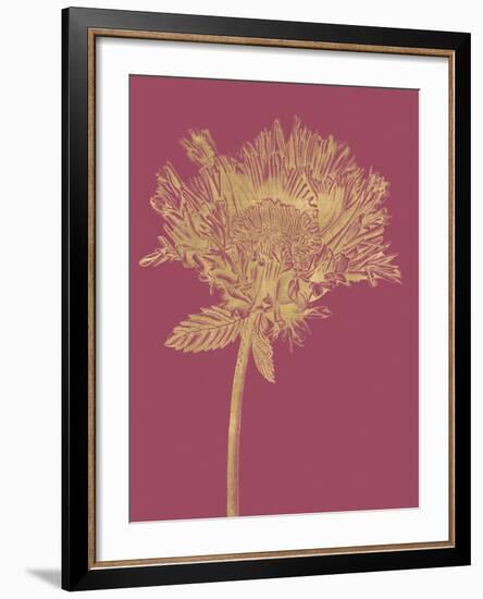 Floral Luxe - Grow-Lucy Francis-Framed Art Print