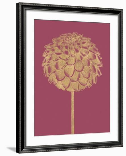 Floral Luxe - Shoot-Lucy Francis-Framed Art Print