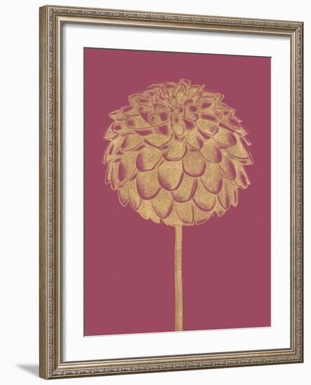 Floral Luxe - Shoot-Lucy Francis-Framed Art Print