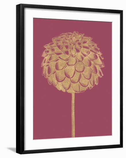 Floral Luxe - Shoot-Lucy Francis-Framed Art Print